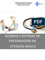 Normas e Rotinas PDF