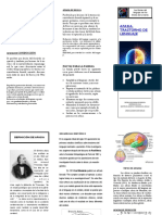 Triptico Trabajo Final PDF