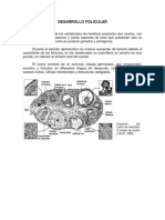 Desarrollo Folicular PDF