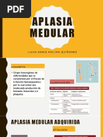 APLASIAMEDULAR