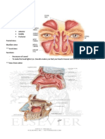 Correlative Anatomy