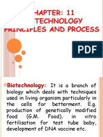 Chapter 11 Biotechnology Principle and Process