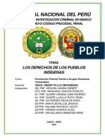 mONOGRAFIA DERECHOS DE LOS PUEBLOS INDIGENAS