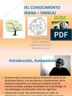 Teoria Del Conocimiento Maturana Varela PDF