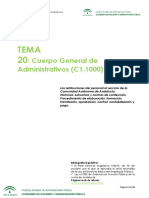 Tema 20