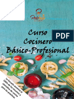 Cocinero Basico-Profesional PDF