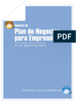 NUÑEZ Plan de Negocios para Emprendedores