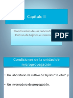 Planificacion de Un Laboratorio de Cultivo de Tejidos