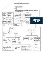 Ecosystems - Ecology Worksheet