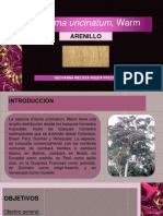 ARENILLO