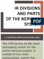 Major Divisions and Parts