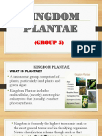 Kingdom Plantae