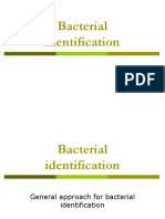 Bacterial Identification