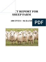 Project Report On Sheep Farming