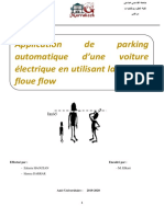 Floue Parking D'une Voiture Electrique