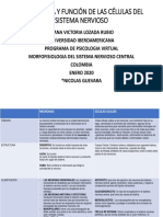 Cuadro Comparativo Neuronas (Autoguardado)