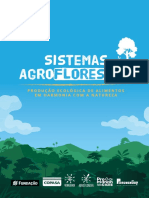 Sistema Agroflorestais: Produção Ecológica de Alimentos em Harmonia Com A Natureza