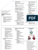 Triptico de Psicopatologia Del Lenguaje