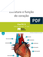 Ctic9 G2 Estrutura e Função Do Coração