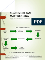 Yegros Esteban Martinez Luna 14.06.2018 PDF