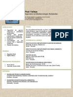 CV Ing Ambiental PDF