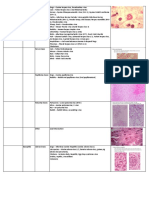 Diagnosis of Viral Infections in Animal Tissues