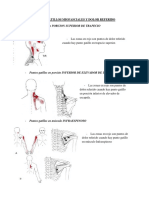 Puntos Gatillos Miofasciales y Dolor Referido