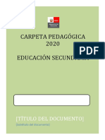 Carpeta Pedagogica 2020 - EDUCACIÓN SECUNDARIA - ADAPTABLE