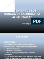 Utilización de Los Hongos en La Industria Alimentaria PDF