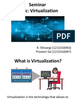 Virtualization