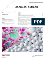 Asia Petrochemical Outlook 2019 h1