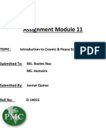 Assignment Module 11