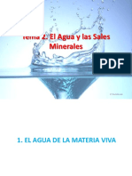 T2-Agua y Sales Minerales