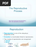 Reproduction in Animals