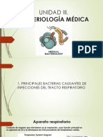 1a Principales Bacterias Causantes de Infecciones Del Tracto