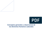 Conceptos Generales y Observancia de Los Derechos Humanos Laborales