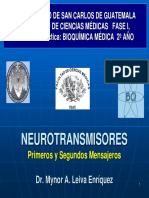 Neurotransmisores