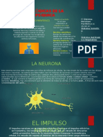 Bases Biológicas de La Actividad Psíquica