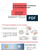 Ciclo Circadiano PDF