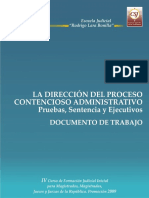 CSJ - Direccion Del Proceso Contencioso Administrativo - Pruebas, Sentencia y Ejecutivos PDF