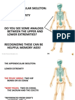 4 (Low Extremity)