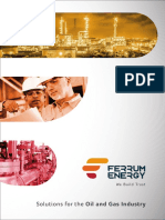 Ferrum Energy Catalogo en