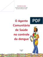 Agente Comunitario Saude Controle Dengue