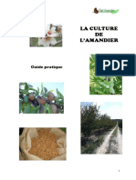 Guide CultureAmande 2015