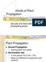 4.02 Plant Propagation