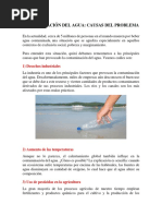 Contaminacion Del Agua