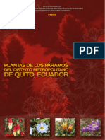 PlantasParamosDMQ PDF