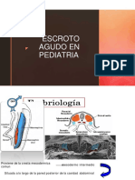 Escroto Agudo en Pediatria