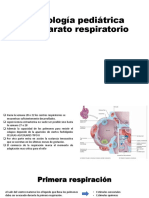 5 Semiologia-Respiratoria