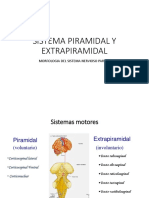 8 Ib Sistema Piramidal y Extrapiramidal